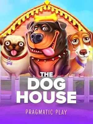 The Dog House at A Big Candy