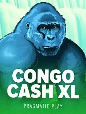 Congo Cash XL at A Big Candy